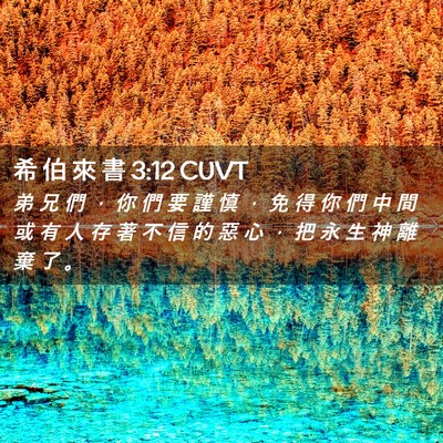 Picture 02 - 希 伯 來 書 3:12 CUVT - 弟 兄 們 ， 你 們 要 謹 慎 ， 免 得 - Bible Verse Picture