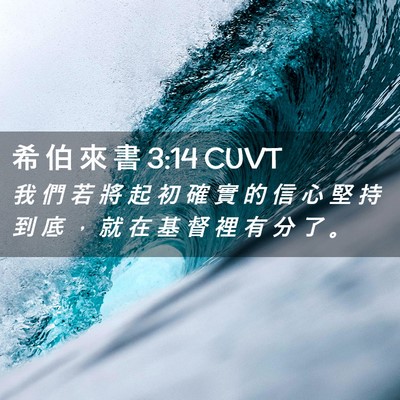 Picture 02 - 希 伯 來 書 3:14 CUVT - 我 們 若 將 起 初 確 實 的 信 心 堅 - Bible Verse Picture