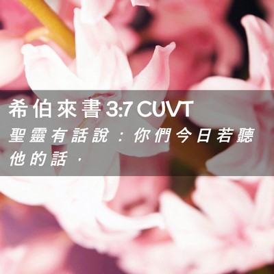 Picture 02 - 希 伯 來 書 3:7 CUVT - 聖 靈 有 話 說 ： 你 們 今 日 若 聽 - Bible Verse Picture