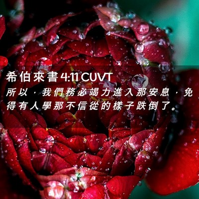 Picture 02 - 希 伯 來 書 4:11 CUVT - 所 以 ， 我 們 務 必 竭 力 進 入 那 - Bible Verse Picture