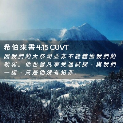 Picture 02 - 希 伯 來 書 4:15 CUVT - 因 我 們 的 大 祭 司 並 非 不 能 體 - Bible Verse Picture