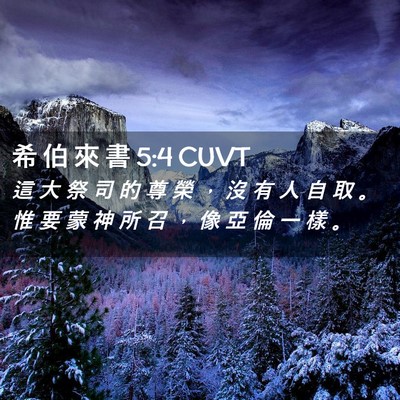 Picture 02 - 希 伯 來 書 5:4 CUVT - 這 大 祭 司 的 尊 榮 ， 沒 有 人 自 - Bible Verse Picture