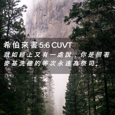 Picture 02 - 希 伯 來 書 5:6 CUVT - 就 如 經 上 又 有 一 處 說 ： 你 是 - Bible Verse Picture