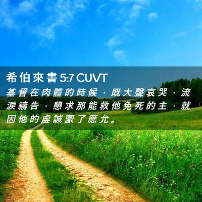 Picture 02 - 希 伯 來 書 5:7 CUVT - 基 督 在 肉 體 的 時 候 ， 既 大 聲 - Bible Verse Picture