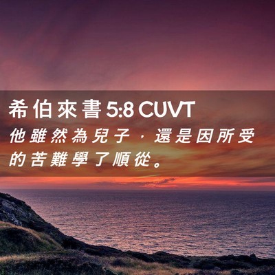 Picture 02 - 希 伯 來 書 5:8 CUVT - 他 雖 然 為 兒 子 ， 還 是 因 所 受 - Bible Verse Picture