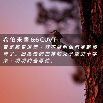 Picture 02 - 希 伯 來 書 6:6 CUVT - 若 是 離 棄 道 理 ， 就 不 能 叫 他 - Bible Verse Picture