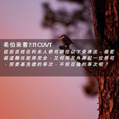 Picture 02 - 希 伯 來 書 7:11 CUVT - 從 前 百 姓 在 利 未 人 祭 司 職 任 - Bible Verse Picture