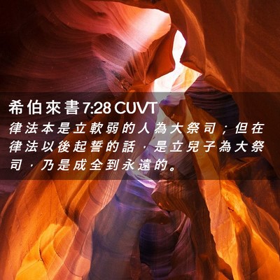 Picture 02 - 希 伯 來 書 7:28 CUVT - 律 法 本 是 立 軟 弱 的 人 為 大 祭 - Bible Verse Picture