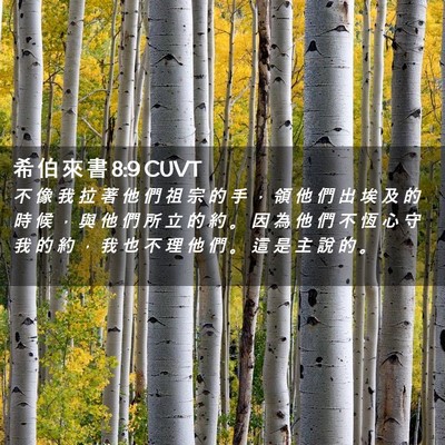 Picture 02 - 希 伯 來 書 8:9 CUVT - 不 像 我 拉 著 他 們 祖 宗 的 手 ， - Bible Verse Picture