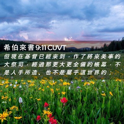 Picture 02 - 希 伯 來 書 9:11 CUVT - 但 現 在 基 督 已 經 來 到 ， 作 了 - Bible Verse Picture