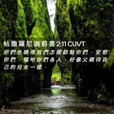Picture 02 - 帖 撒 羅 尼 迦 前 書 2:11 CUVT - 你 們 也 曉 得 我 們 怎 樣 勸 勉 你 - Bible Verse Picture