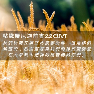 Picture 02 - 帖 撒 羅 尼 迦 前 書 2:2 CUVT - 我 們 從 前 在 腓 立 比 被 害 受 辱 - Bible Verse Picture