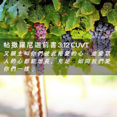 Picture 02 - 帖 撒 羅 尼 迦 前 書 3:12 CUVT - 又 願 主 叫 你 們 彼 此 相 愛 的 心 - Bible Verse Picture