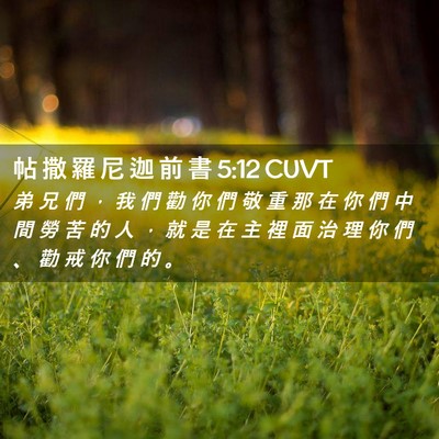 Picture 02 - 帖 撒 羅 尼 迦 前 書 5:12 CUVT - 弟 兄 們 ， 我 們 勸 你 們 敬 重 那 - Bible Verse Picture