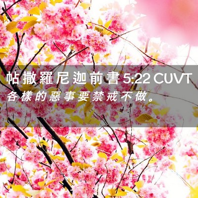 Picture 02 - 帖 撒 羅 尼 迦 前 書 5:22 CUVT - 各 樣 的 惡 事 要 禁 戒 不 做 - Bible Verse Picture
