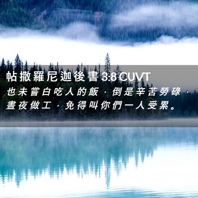 Picture 02 - 帖 撒 羅 尼 迦 後 書 3:8 CUVT - 也 未 嘗 白 吃 人 的 飯 ， 倒 是 辛 - Bible Verse Picture