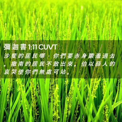 Picture 02 - 彌 迦 書 1:11 CUVT - 沙 斐 的 居 民 哪 ， 你 們 要 赤 身 - Bible Verse Picture