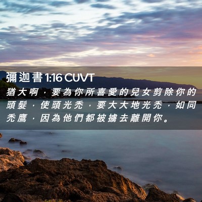 Picture 02 - 彌 迦 書 1:16 CUVT - 猶 大 啊 ， 要 為 你 所 喜 愛 的 兒 - Bible Verse Picture