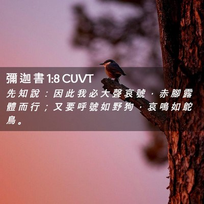 Picture 02 - 彌 迦 書 1:8 CUVT - 先 知 說 ： 因 此 我 必 大 聲 哀 號 - Bible Verse Picture