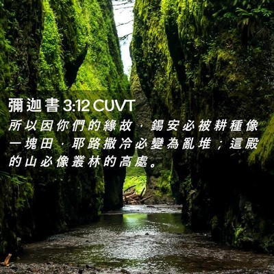 Picture 02 - 彌 迦 書 3:12 CUVT - 所 以 因 你 們 的 緣 故 ， 錫 安 必 - Bible Verse Picture