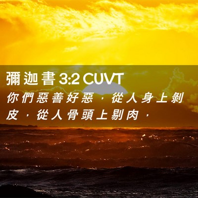 Picture 02 - 彌 迦 書 3:2 CUVT - 你 們 惡 善 好 惡 ， 從 人 身 上 剝 - Bible Verse Picture