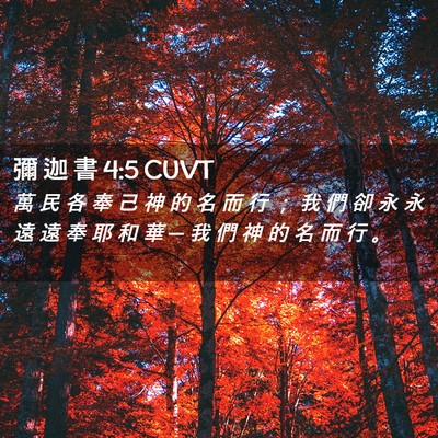 Picture 02 - 彌 迦 書 4:5 CUVT - 萬 民 各 奉 己 神 的 名 而 行 ； 我 - Bible Verse Picture