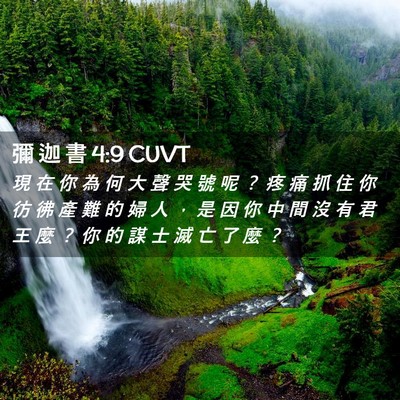 Picture 02 - 彌 迦 書 4:9 CUVT - 現 在 你 為 何 大 聲 哭 號 呢 ？ 疼 - Bible Verse Picture
