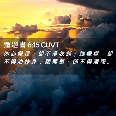 Picture 02 - 彌 迦 書 6:15 CUVT - 你 必 撒 種 ， 卻 不 得 收 割 ； 踹 - Bible Verse Picture