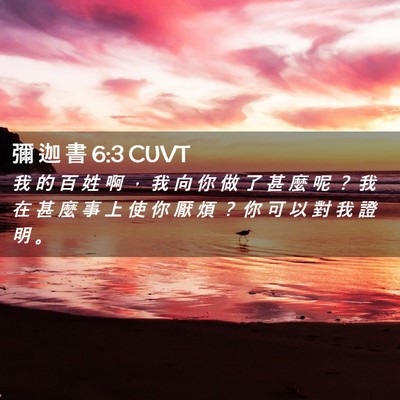 Picture 02 - 彌 迦 書 6:3 CUVT - 我 的 百 姓 啊 ， 我 向 你 做 了 甚 - Bible Verse Picture