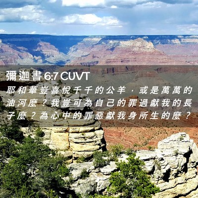 Picture 02 - 彌 迦 書 6:7 CUVT - 耶 和 華 豈 喜 悅 千 千 的 公 羊 ， - Bible Verse Picture