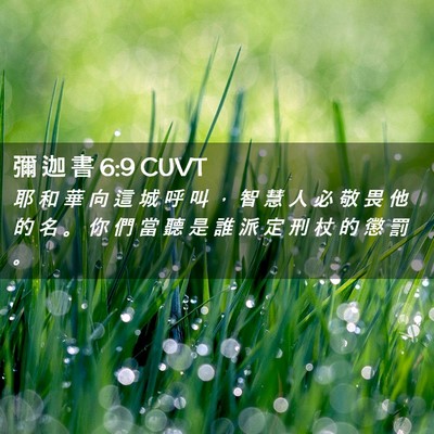Picture 02 - 彌 迦 書 6:9 CUVT - 耶 和 華 向 這 城 呼 叫 ， 智 慧 人 - Bible Verse Picture