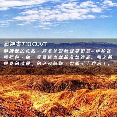 Picture 02 - 彌 迦 書 7:10 CUVT - 那 時 我 的 仇 敵 ， 就 是 曾 對 我 - Bible Verse Picture