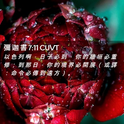 Picture 02 - 彌 迦 書 7:11 CUVT - 以 色 列 啊 ， 日 子 必 到 ， 你 的 - Bible Verse Picture