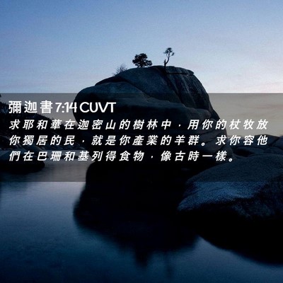 Picture 02 - 彌 迦 書 7:14 CUVT - 求 耶 和 華 在 迦 密 山 的 樹 林 中 - Bible Verse Picture