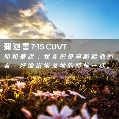 Picture 02 - 彌 迦 書 7:15 CUVT - 耶 和 華 說 ： 我 要 把 奇 事 顯 給 - Bible Verse Picture