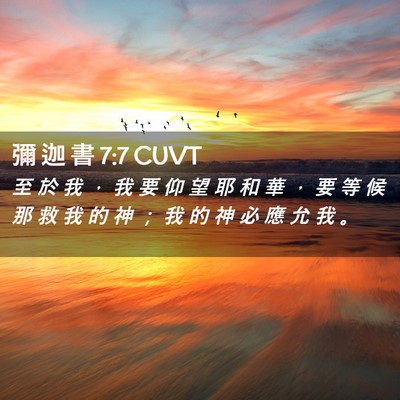 Picture 02 - 彌 迦 書 7:7 CUVT - 至 於 我 ， 我 要 仰 望 耶 和 華 ， - Bible Verse Picture
