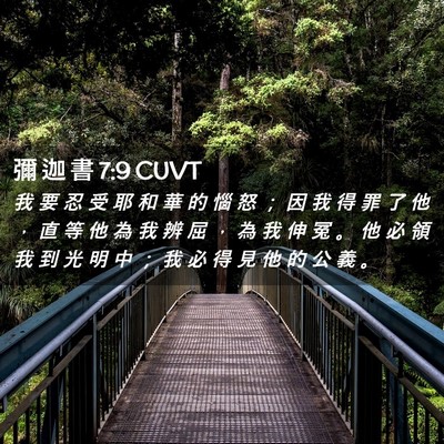 Picture 02 - 彌 迦 書 7:9 CUVT - 我 要 忍 受 耶 和 華 的 惱 怒 ； 因 - Bible Verse Picture