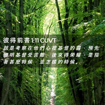 Picture 02 - 彼 得 前 書 1:11 CUVT - 就 是 考 察 在 他 們 心 裡 基 督 的 - Bible Verse Picture