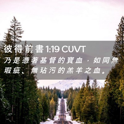 Picture 02 - 彼 得 前 書 1:19 CUVT - 乃 是 憑 著 基 督 的 寶 血 ， 如 同 - Bible Verse Picture