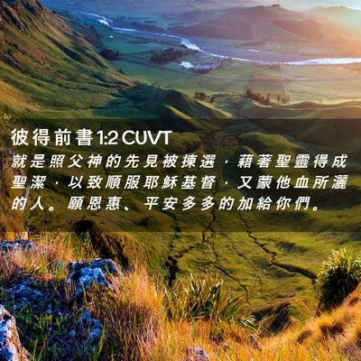 Picture 02 - 彼 得 前 書 1:2 CUVT - 就 是 照 父 神 的 先 見 被 揀 選 ， - Bible Verse Picture