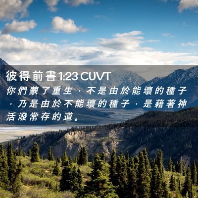 Picture 02 - 彼 得 前 書 1:23 CUVT - 你 們 蒙 了 重 生 ， 不 是 由 於 能 - Bible Verse Picture
