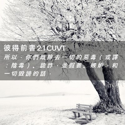 Picture 02 - 彼 得 前 書 2:1 CUVT - 所 以 ， 你 們 既 除 去 一 切 的 惡 - Bible Verse Picture