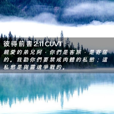 Picture 02 - 彼 得 前 書 2:11 CUVT - 親 愛 的 弟 兄 阿 ， 你 們 是 客 旅 - Bible Verse Picture