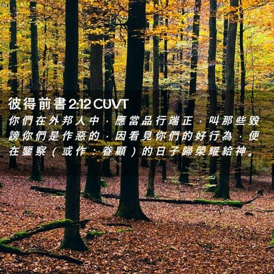 Picture 02 - 彼 得 前 書 2:12 CUVT - 你 們 在 外 邦 人 中 ， 應 當 品 行 - Bible Verse Picture