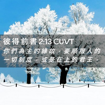 Picture 02 - 彼 得 前 書 2:13 CUVT - 你 們 為 主 的 緣 故 ， 要 順 服 人 - Bible Verse Picture
