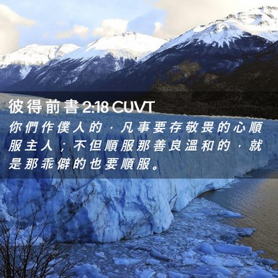 Picture 02 - 彼 得 前 書 2:18 CUVT - 你 們 作 僕 人 的 ， 凡 事 要 存 敬 - Bible Verse Picture