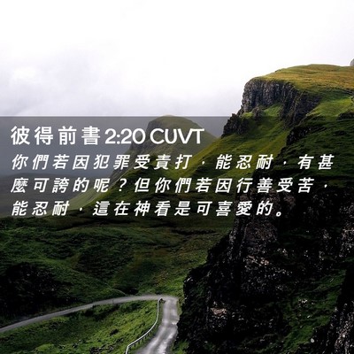 Picture 02 - 彼 得 前 書 2:20 CUVT - 你 們 若 因 犯 罪 受 責 打 ， 能 忍 - Bible Verse Picture