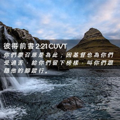 Picture 02 - 彼 得 前 書 2:21 CUVT - 你 們 蒙 召 原 是 為 此 ； 因 基 督 - Bible Verse Picture