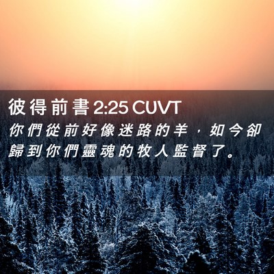 Picture 02 - 彼 得 前 書 2:25 CUVT - 你 們 從 前 好 像 迷 路 的 羊 ， 如 - Bible Verse Picture