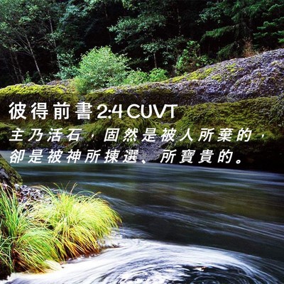 Picture 02 - 彼 得 前 書 2:4 CUVT - 主 乃 活 石 ， 固 然 是 被 人 所 棄 - Bible Verse Picture